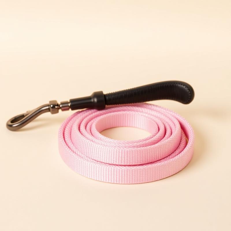 Dog Leash